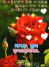 팜모닝 하우스정보·자유게시판 게시글 이미지