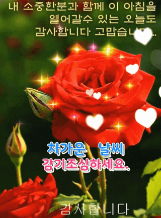 뽀빠이 아저씨님의 하우스정보 · 자유게시판 작성글 사진