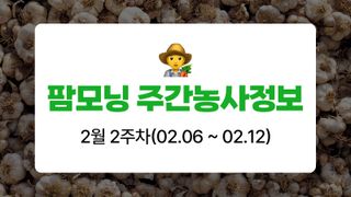 마늘 농사도우미님의 마늘 · 비료•농약 작성글 사진