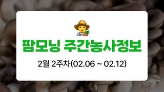 버섯 농사도우미님의 버섯 · 파종작업 작성글 사진