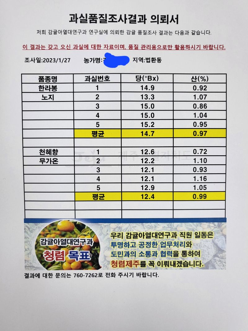 강창민님의 장터 판매 상품 [노지 한라봉 5키로] 첨부 사진