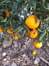 팜모닝 · 게시글 이미지