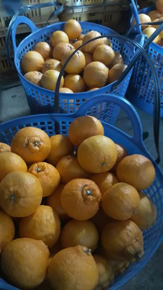 강창민님의 작성글 사진