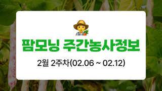 콩 농사도우미님의 콩 · 농사길잡이 작성글 사진