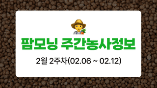 들깨 농사도우미님의 들깨 · 농사길잡이 작성글 사진