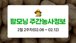 감자 농사도우미님의 감자·농사길잡이 작성글 사진