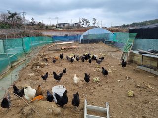 김민철 님의 기타작물 · 자유게시판 작성글 사진