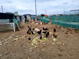 김민철 님의 기타작물 · 자유게시판 작성글 사진