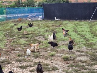 김민철 님의 기타작물 · 자유게시판 작성글 사진