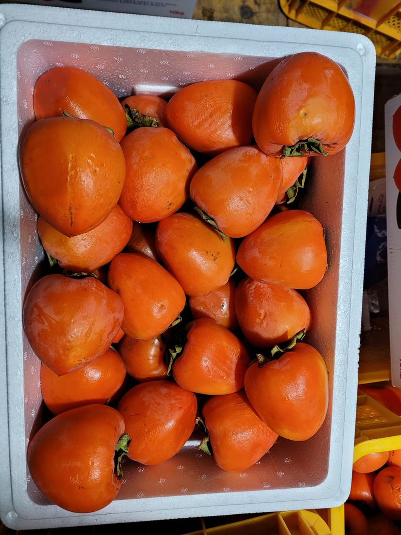 장터 상품 [🍊꿀 맛  대봉홍시   5kg, 10kg, 택배무료] 썸네일