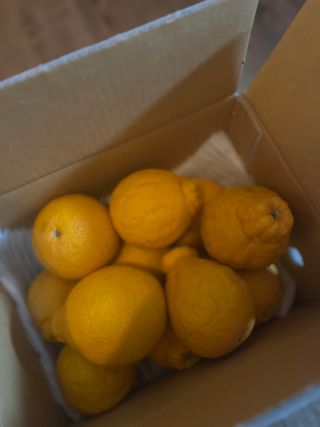 홍키통키님의 작성글 사진