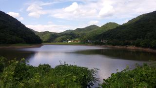 처녀골 산딸기 농장님의 딸기 · 수확 작성글 사진