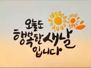 보라감자14님의 기타작물 · 자유게시판 작성글 사진