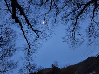 홍촌님의 기타작물 · 자유게시판 작성글 사진