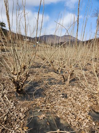 최군환님의 기타작물 · 자유게시판 작성글 사진