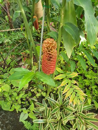 박운규.털보님의 기타작물 · 자유게시판 작성글 사진