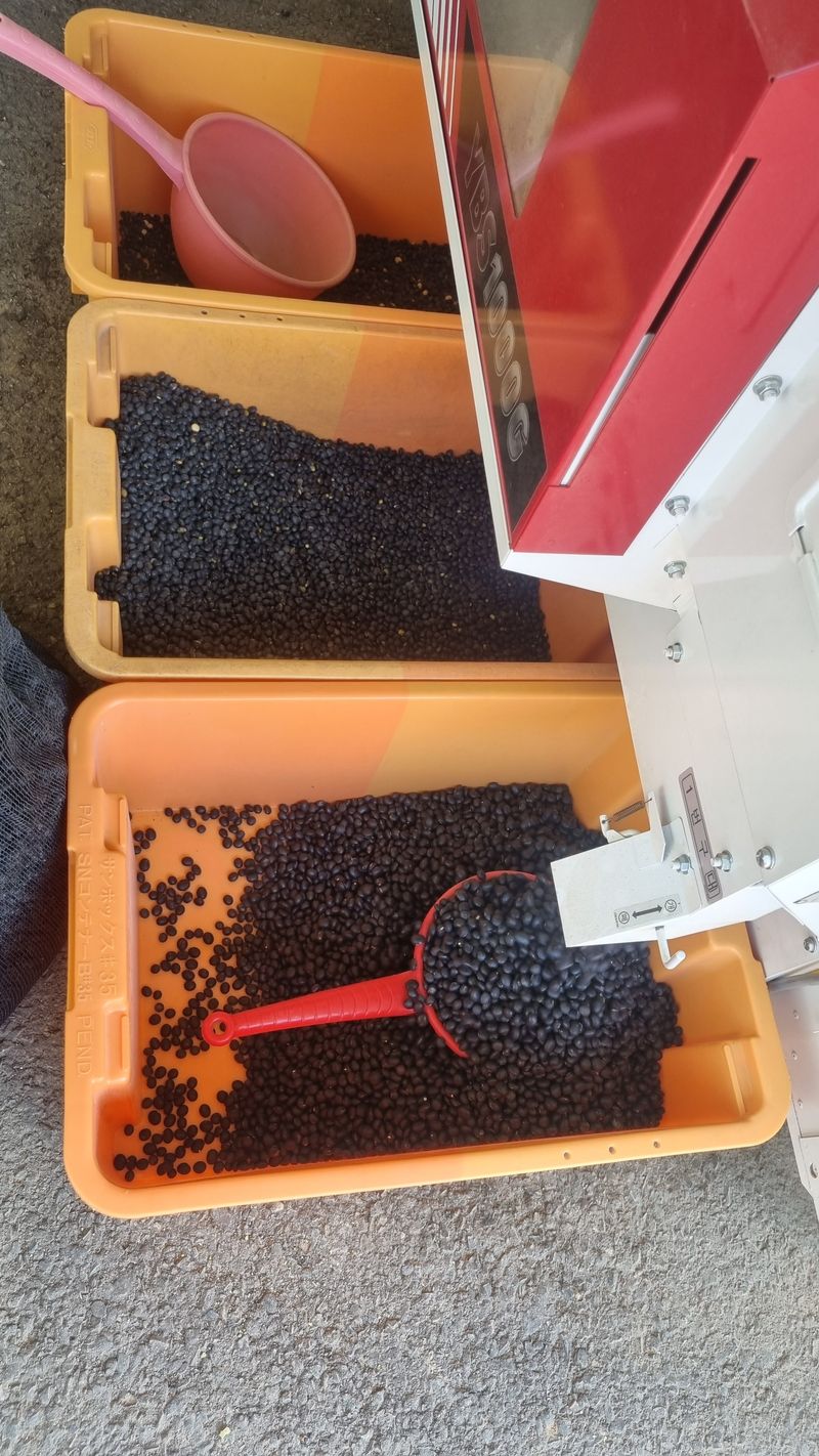 귀족 서리태  농부님의 장터 판매 상품 [귀족서리태 1kg] 첨부 사진