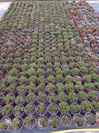 팜모닝회원 김순달 님의 하우스정보 · 자유게시판 작성글 사진