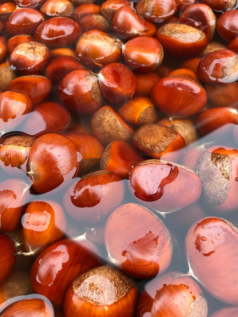 신연희님의 장터 판매 상품 [[판매완료] 토종알밤 4Kg] 첨부 사진