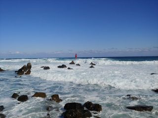 알 수 없음님의 들깨 · 자유게시판 작성글 사진
