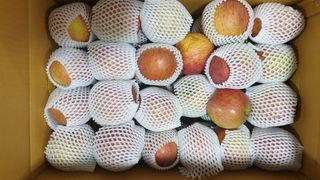 호랑이와인성이님의 사과 · 저장•가공 작성글 사진