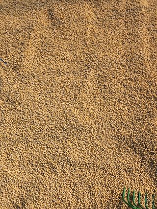 조일현님의 작성글 사진