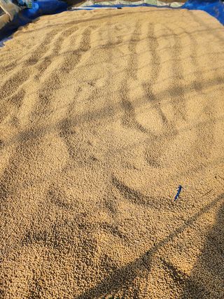 조일현님의 작성글 사진