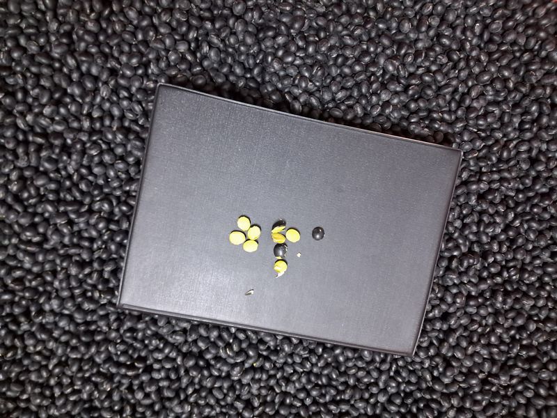 장터 상품 [서리태 (청자5호)] 썸네일