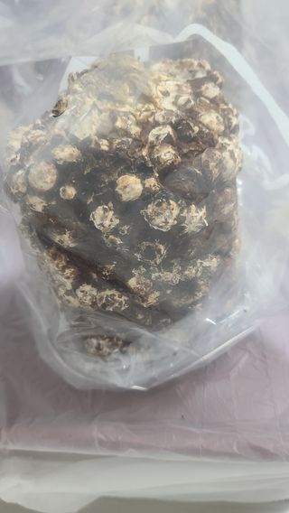 토깽이(김미숙)님의 감자 · 자유게시판 작성글 사진