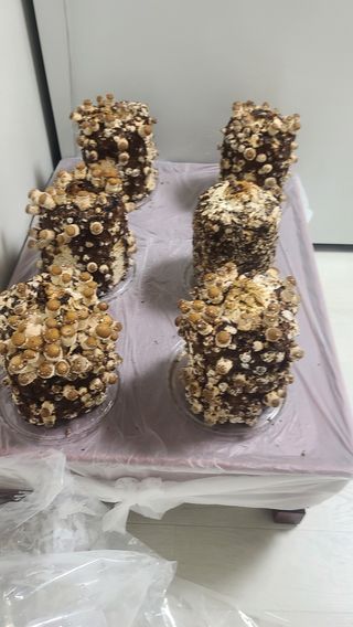 토깽이(김미숙)님의 감자 · 자유게시판 작성글 사진