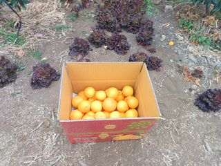 강창민님의 작성글 사진