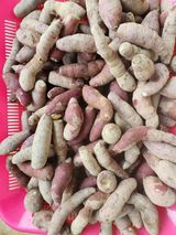 팜모닝 · 게시글 이미지