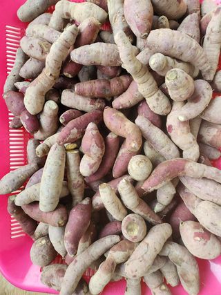 원기서님의 작성글 사진