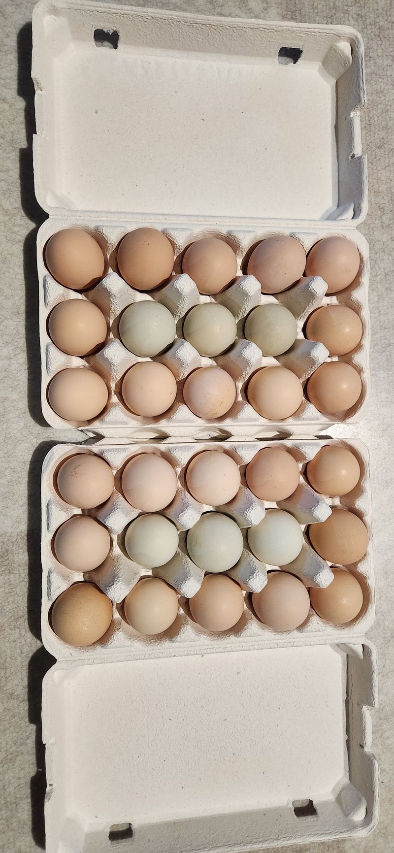 장터 상품 [토종닭알.청계닭알  30개] 썸네일