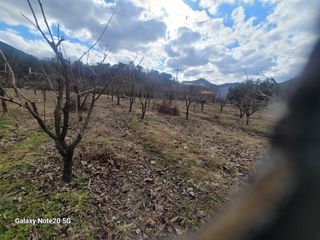 성낙호님의 감 · 자유게시판 작성글 사진