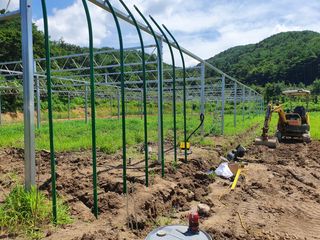 농업회사법인 진향님의 작성글 사진