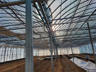 농업회사법인 진향님의 작성글 사진