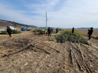 빈현린님의 감 · 자유게시판 작성글 사진