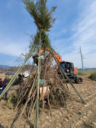 빈현린님의 감 · 자유게시판 작성글 사진