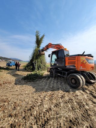 빈현린님의 감 · 자유게시판 작성글 사진