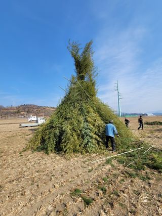 빈현린님의 감 · 자유게시판 작성글 사진
