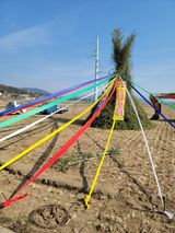 팜모닝 감·자유게시판 게시글 이미지