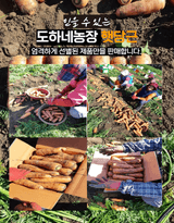 팜모닝 · 게시글 이미지