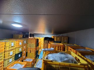 노고단님의 기타작물 · 자유게시판 작성글 사진