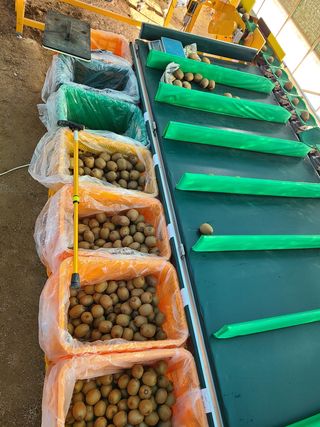 노고단님의 기타작물 · 자유게시판 작성글 사진