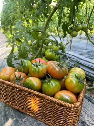 정길영님의 작성글 사진