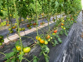 정길영님의 작성글 사진