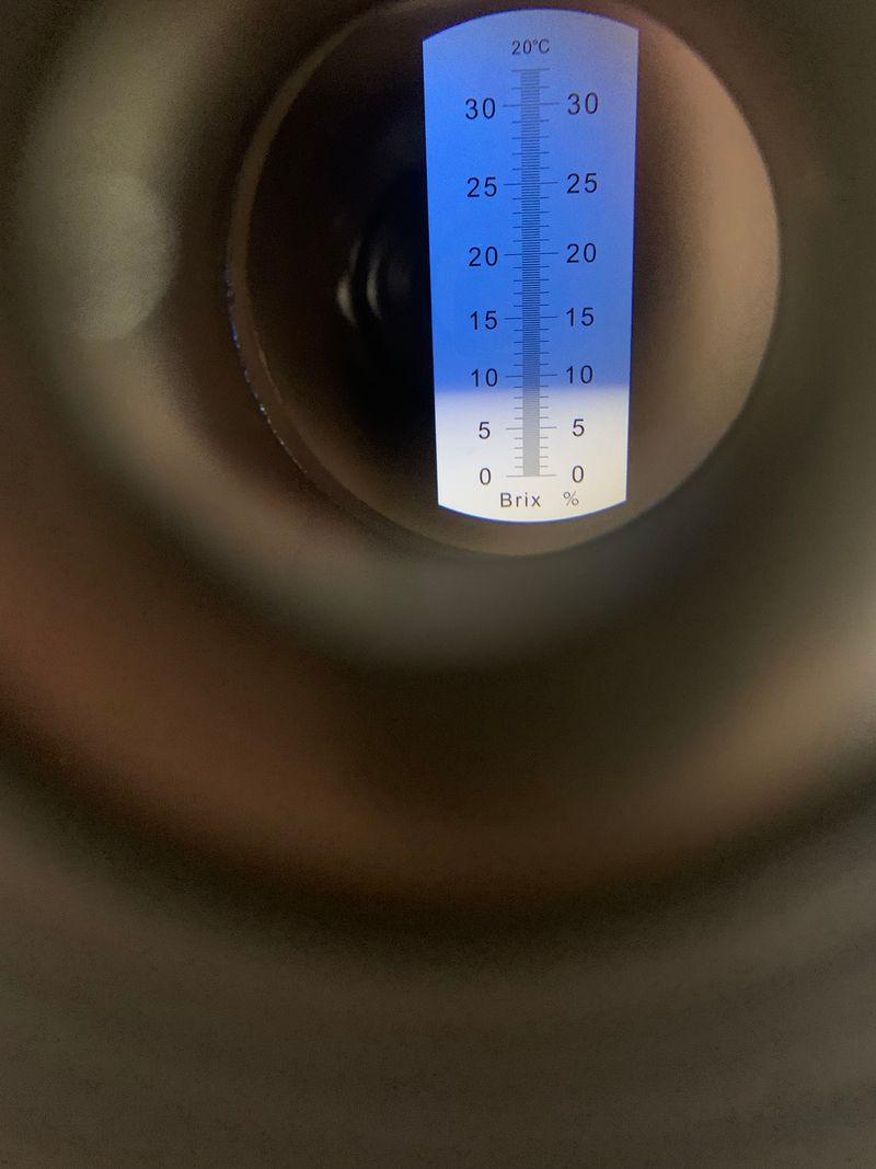 정길영님의 장터 판매 상품 [부산 대저짭짤이토마토 5kg 몬난이  비품5kg] 첨부 사진