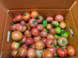 정길영님의 작성글 사진