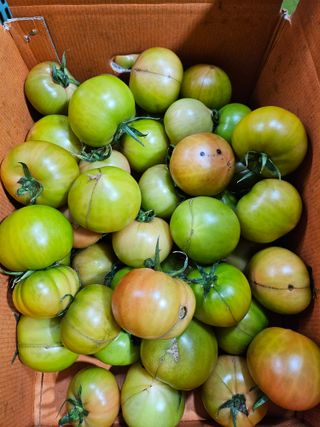 정길영님의 작성글 사진